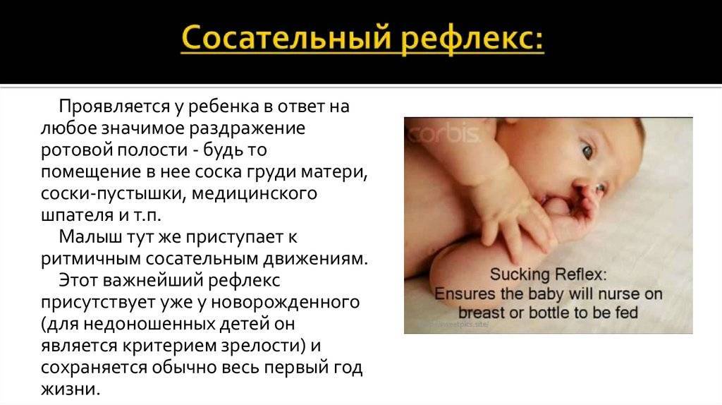 Сосательный рефлекс у новорожденных: до какого возраста присутствует и симптомы отсутствия инстинкта - nevrolog-info.ru