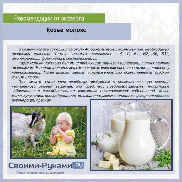 Полезно ли козье молоко детям с какого возраста можно давать