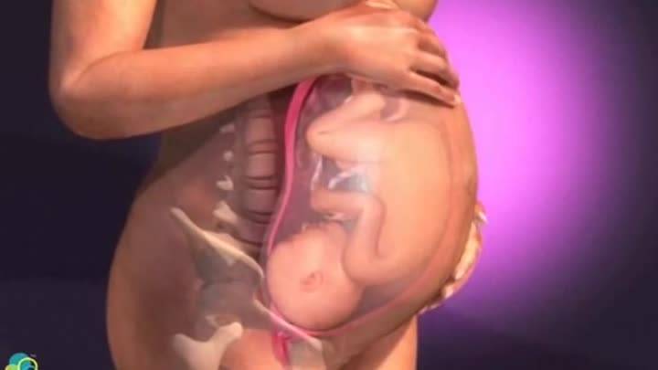 Видео: Беременность по неделям. Взгляд изнутри