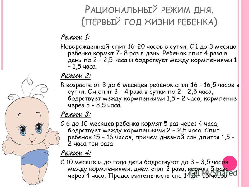 Особенности составления режима дня для младенца, дошкольника, первоклассника и подростка