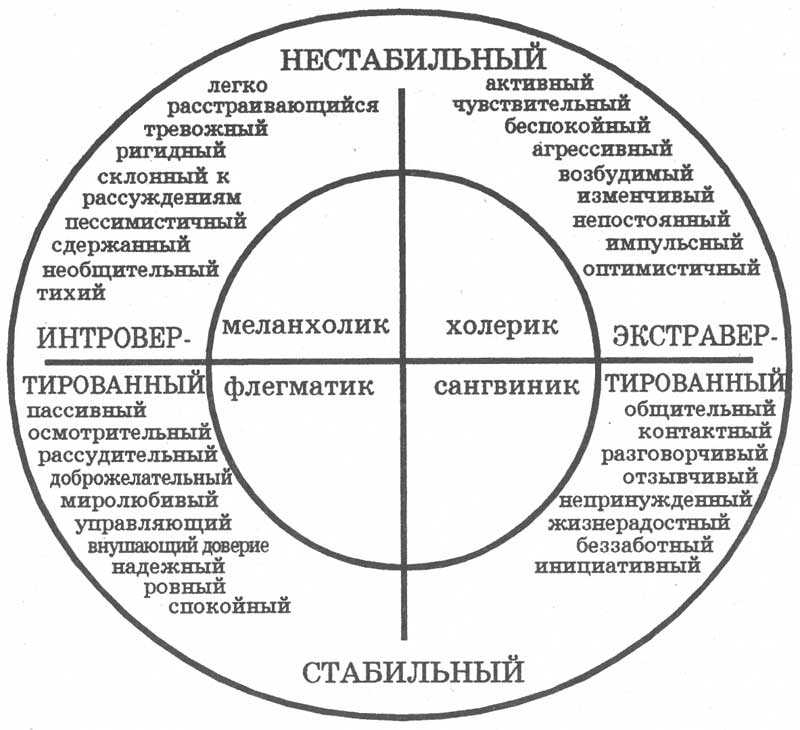 Темперамент и особенности развития. как определить темперамент своего ребенка