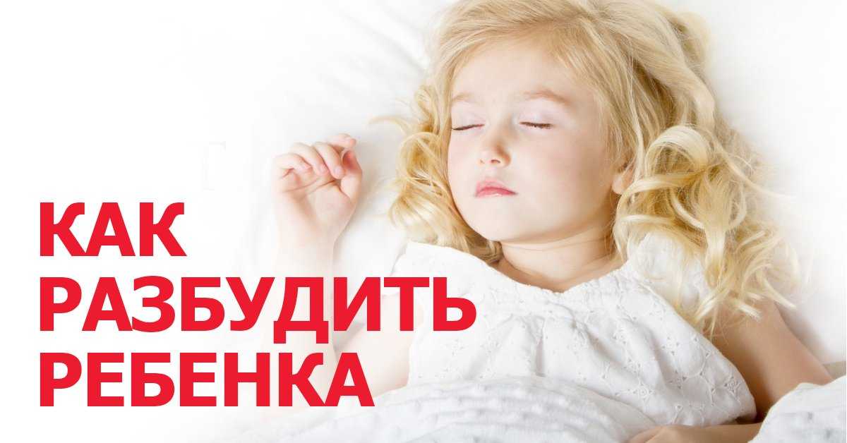 Ребёнок не спит в детском саду: заставлять или нет