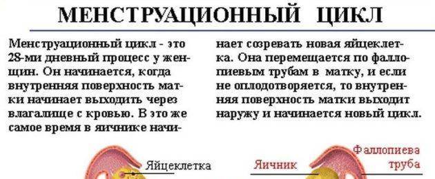 В 52 года идут месячные. Как сделать чтобы месячные быстрее закончились. Что делать чтобы месячные закончились раньше. Что нужно делать чтобы месячные быстрей закончились. Как сделать так чтобы месячные быстрее закончились.