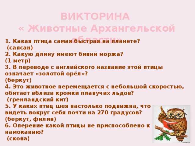 60 вопросов про животных для увлекательной викторины :: инфониак
