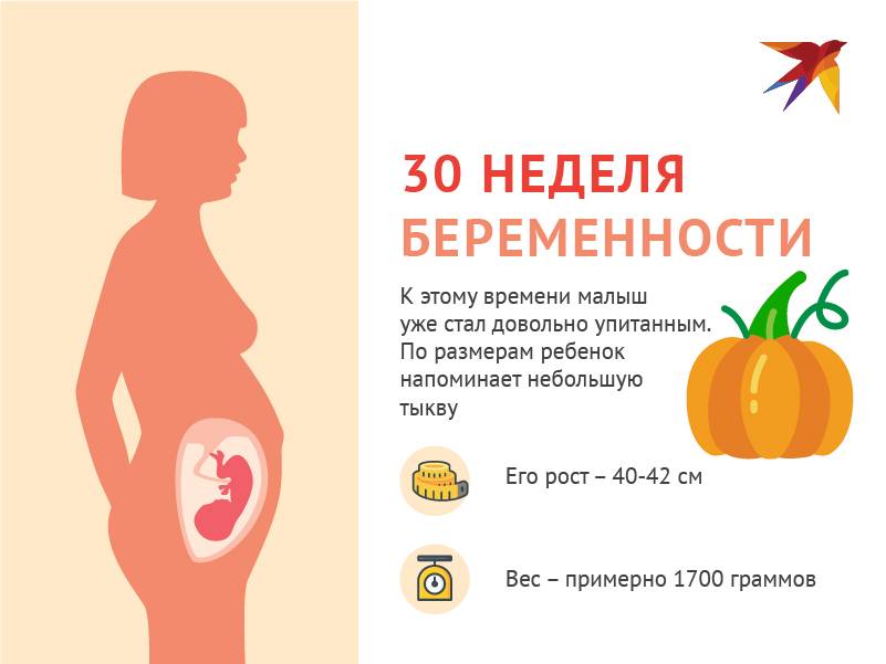 ➤ 28 неделя беременности всё что нужно знать будущим родителям