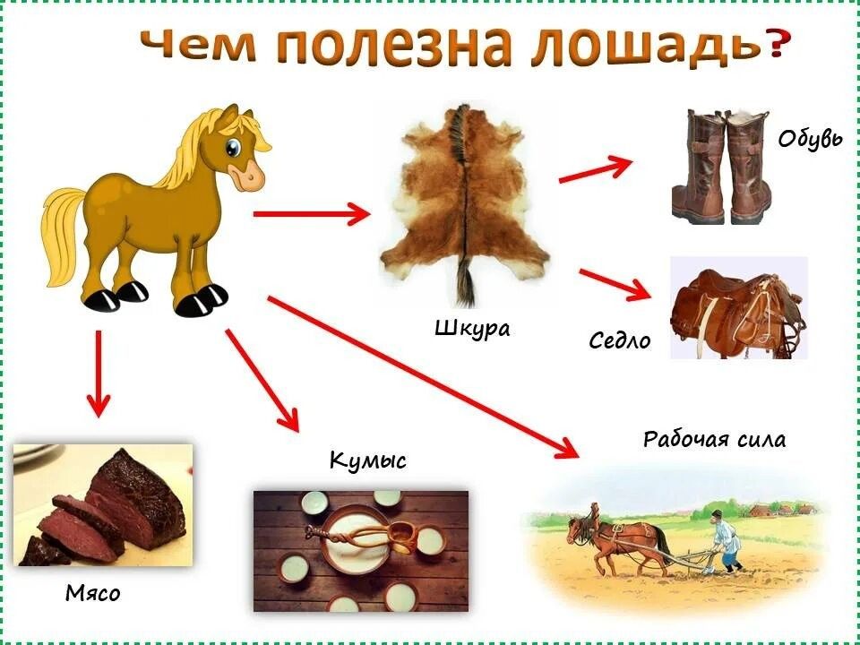Лучшие домашние животные для вашего ребенка по возрасту :: инфониак