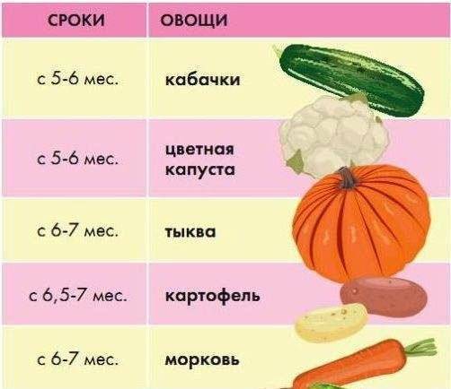 Капуста для детей: рецепты, польза, с какого возраста можно давать детям капусту