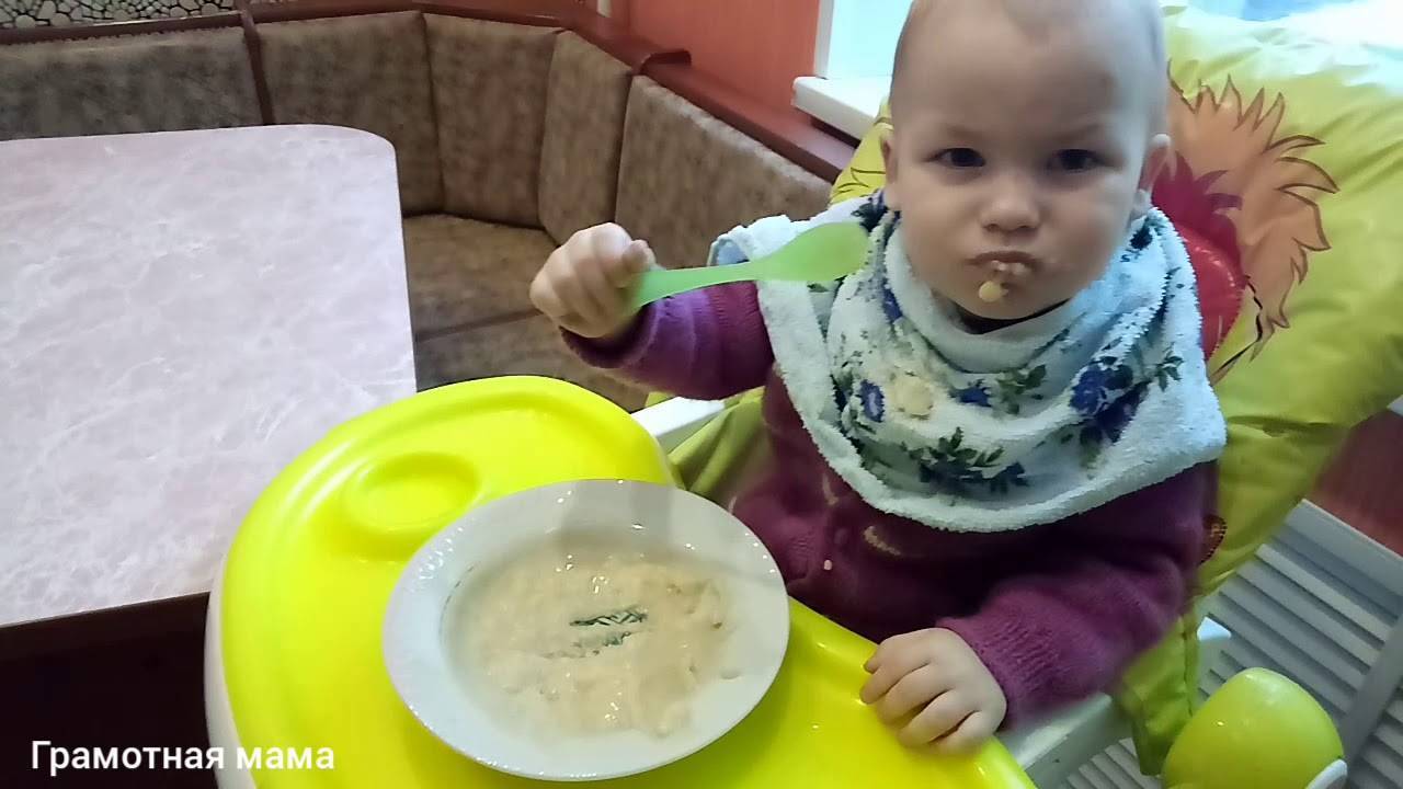 Как научить ребенка жевать: чем кормить, что делать при отказе от пищи, советы доктора комаровского