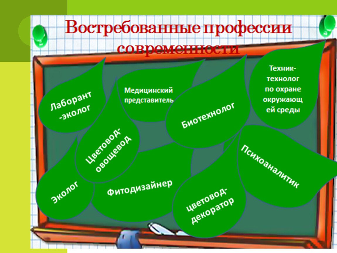 Востребованные профессии, связанные с биологией