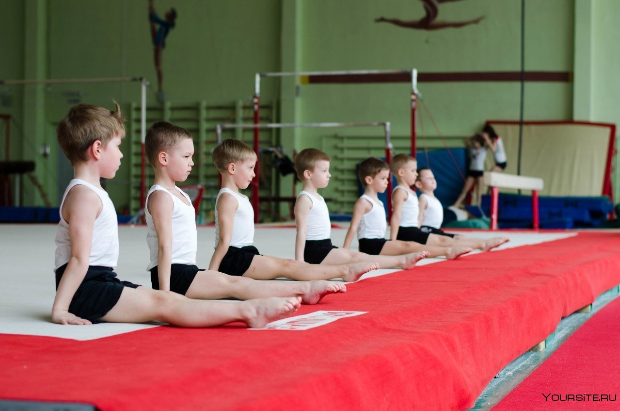 Yan guru. гид по спортивной гимнастике