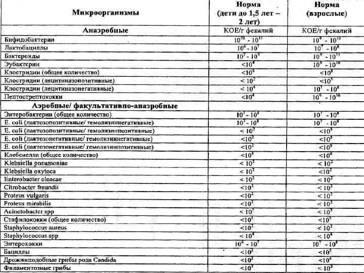 Клебсиелла: симптомы и лечение у грудничка, взрослого, при беремености (клебсиелла пневмония, klebsiella pneumoniae) - medside.ru