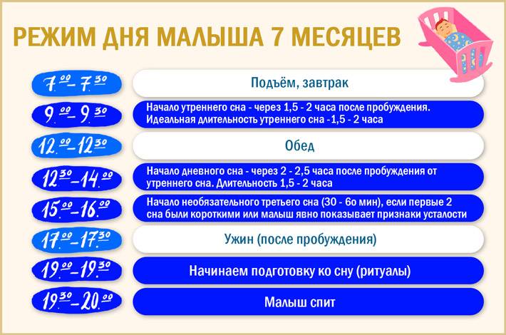 Режим грудного ребенка 6 месяцев на грудном вскармливании