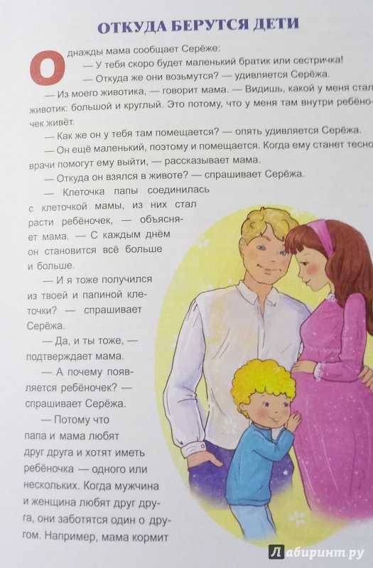 Как объяснить ребёнку откуда берутся дети - женская жизньженская жизнь