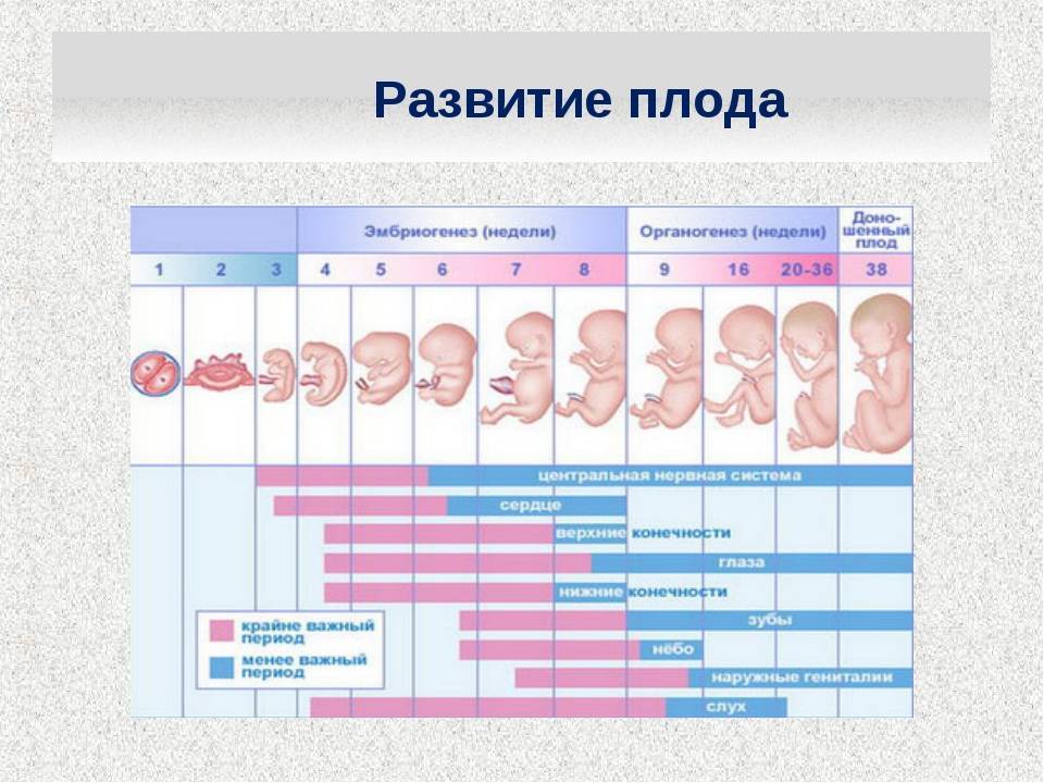 Беременность: первые признаки беременности в первые дни