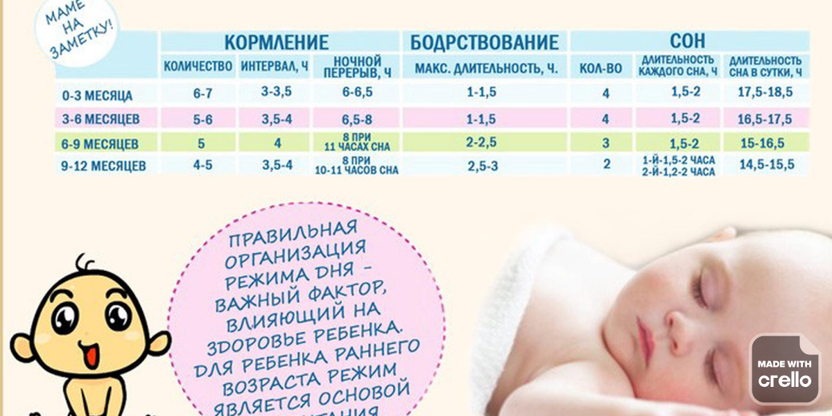 С какого возраста ребенок спит всю ночь, не просыпаясь