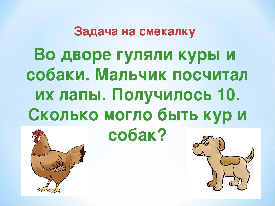 Время размять мозги: решаем задачи на логику | блог 4brain