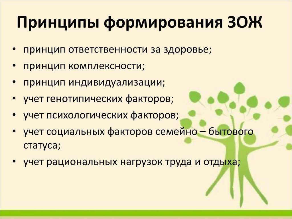 Программа "уроки здоровья"