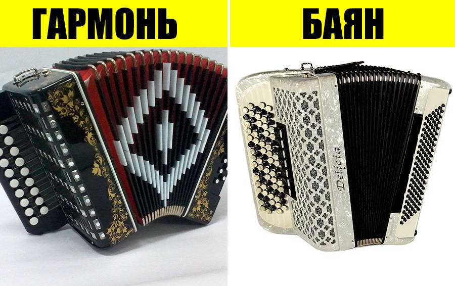 Чем баян отличается от гармони и аккордеона, и что лучше