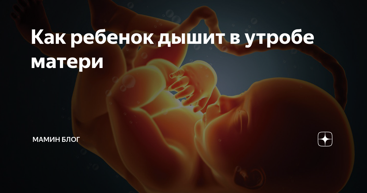 «лежачая» беременность – причины и последствия