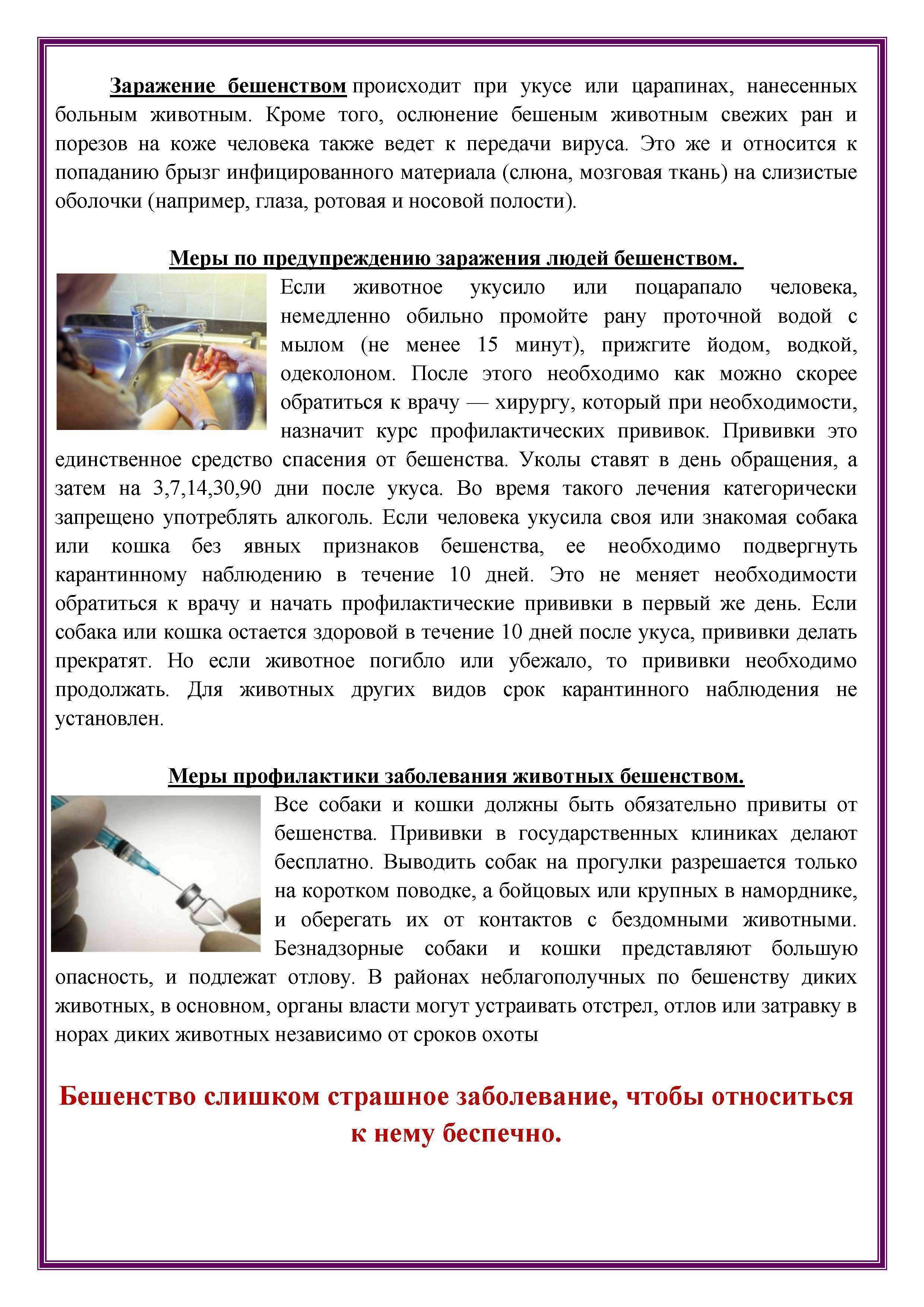 Ребенка покусала собака: первая помощь (3 действия), возможные заболевания, памятка родителям