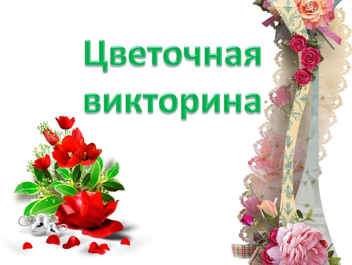 Викторина о цветах: топ-8 интересных идей для викторины