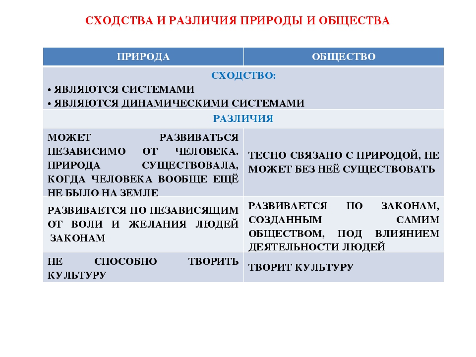 Чем отличается проспект от улицы и от бульвара