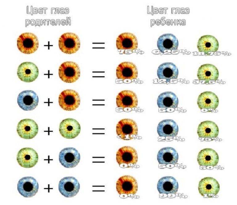 Когда меняется цвет глаз у новорожденных? таблица определения цвета глаз
