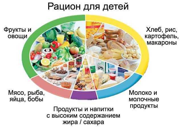Правильное питание школьника: меню, режим и программа здорового питания учащихся в школе, рекомендации по полезному рацион ребенка