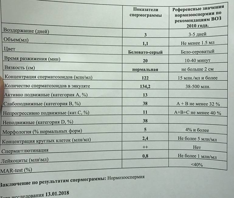 Как алкоголь влияет на спермограмму и состояние сперматозоидов, стоит ли выпивать перед процедурой?