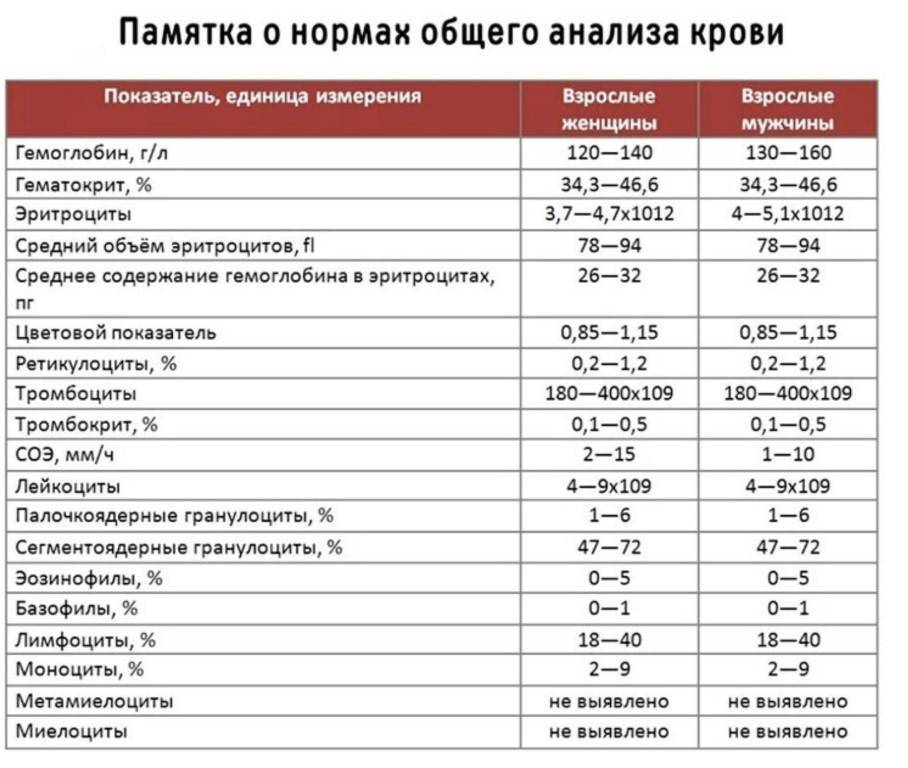 Общий анализ крови: норма и расшифровка у детей, что показывает, как сдавать