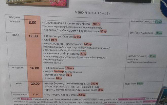 Меню ребенка в 1 год [чем кормить]: рацион питания годовалого малыша на каждый день
