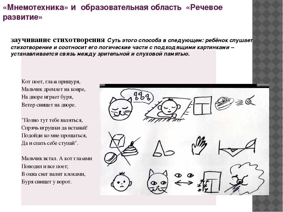 Мнемотехника для развития памяти взрослых и детей: уроки для начинающих