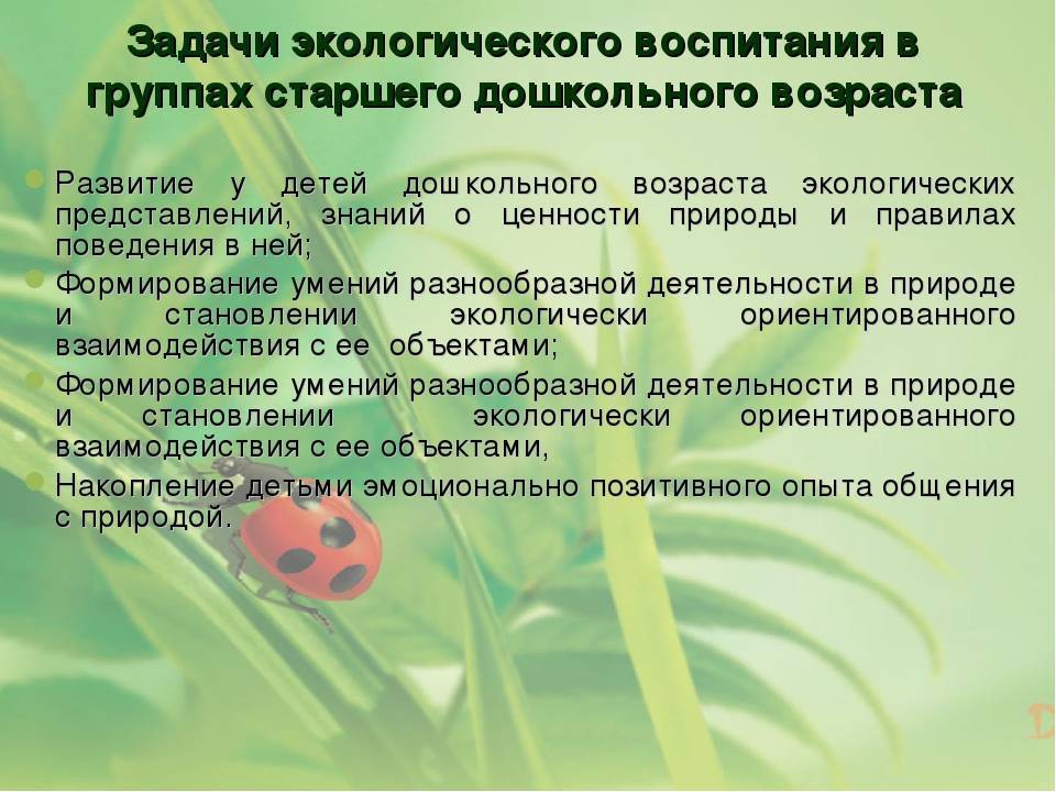 Воспитание конспект. Задачи по экологическому воспитанию в старшей группе. Задачи по экологическому воспитанию в старшей группе ДОУ. Экологическое воспитание старших дошкольников. Цель экологического воспитания дошкольников.