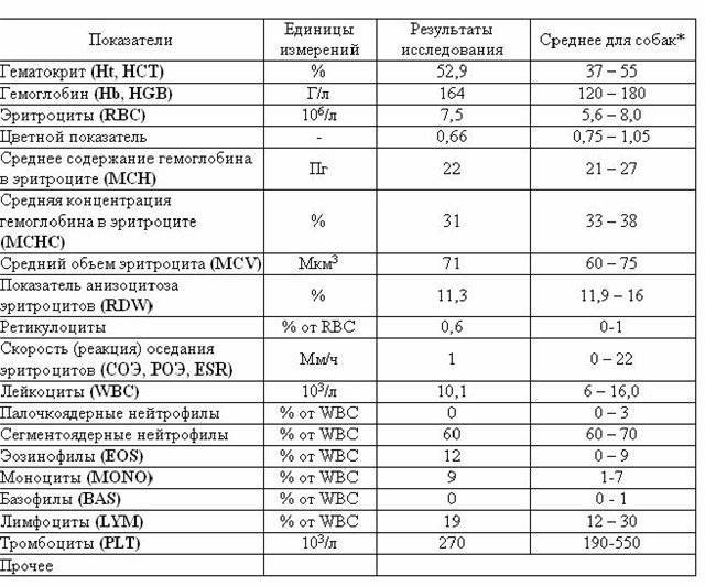 Средняя концентрация. Средняя концентрация гемоглобина в эритроците норма у мужчин. Средняя концентрация гемоглобина в эритроците у детей. Средняя концентрация HGB В 1 эритроците. Средняя концентрация HGB В 1 эритроците норма.