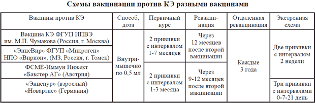 Ускоренная схема вакцинации от клещевого энцефалита