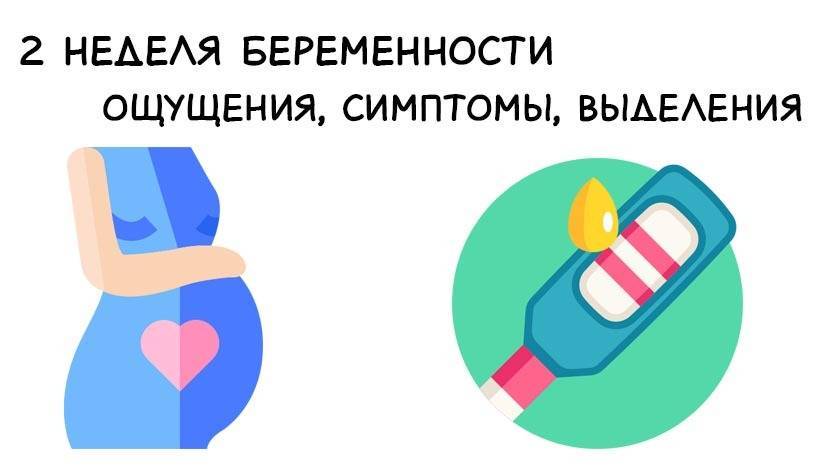 2 месяц беременности – что происходит, симптомы и ощущения, признаки беременности на втором месяце - agulife.ru
