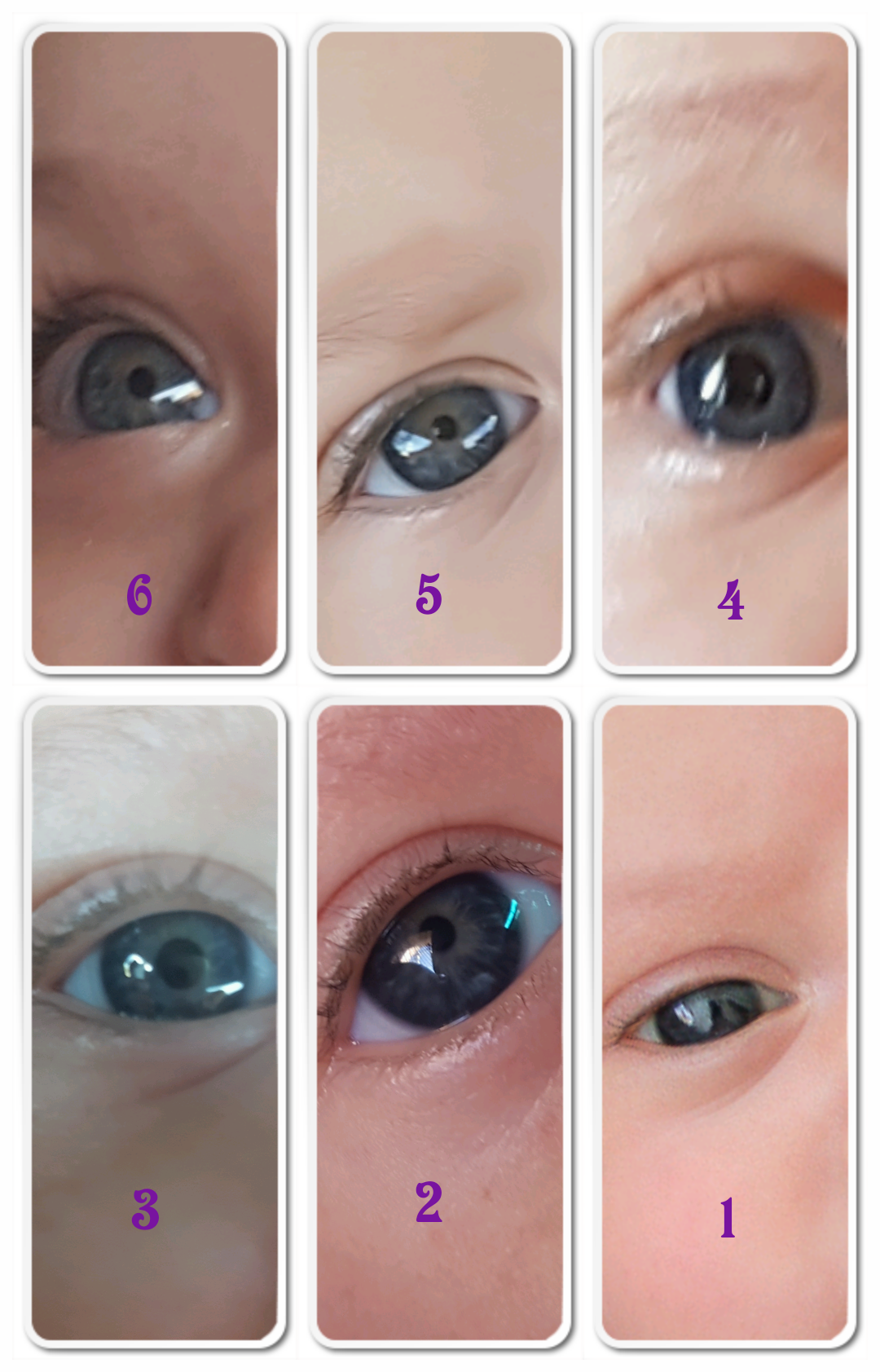 Цвет глаз у новорожденных: от чего зависит и когда меняется