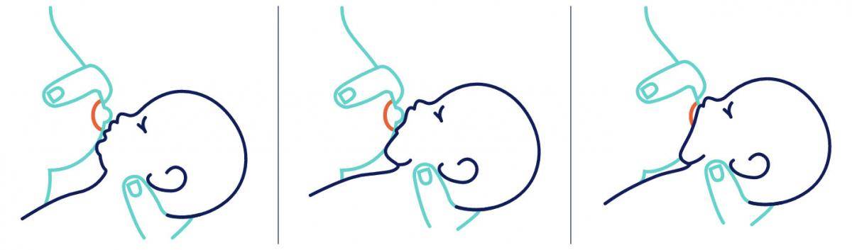 Смешанное вскармливание грудничка: как начать и вводить | схема и режим питания, меню на смешанном вскармливании | микролакс®