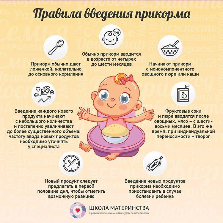 Ребёнок в 8 месяцев: календарь развития