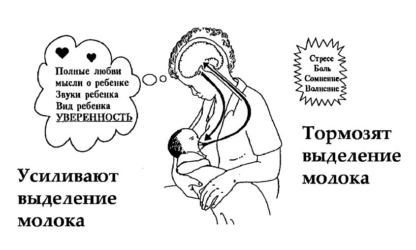 Как восстановить лактацию, если молоко пропало: что делать кормящей маме?