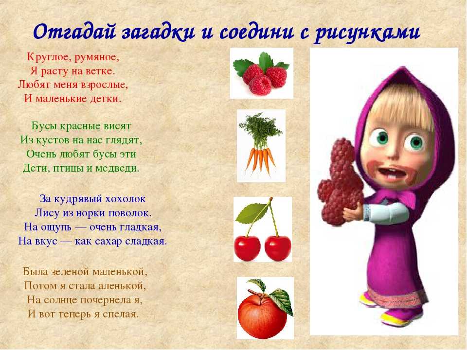 Загадки про овощи для детей: 200 лучших загадок с ответами - blog-dm.ru