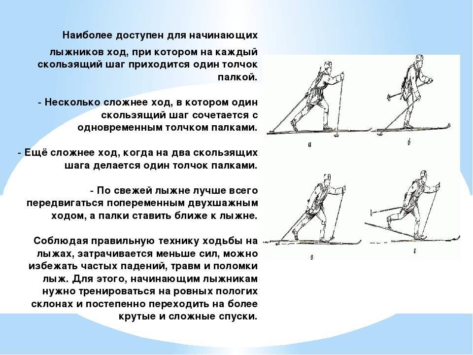 Учимся кататься на беговых лыжах: уроки и советы для начинающих - все курсы онлайн