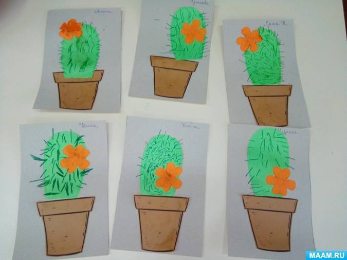 Конспект занятия «комнатные растения» для детей старших групп