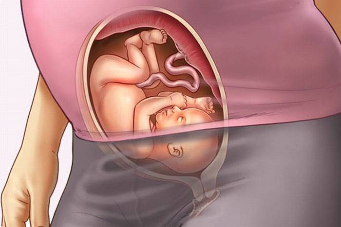 26 неделя беременности что происходит с малышом и мамой фото