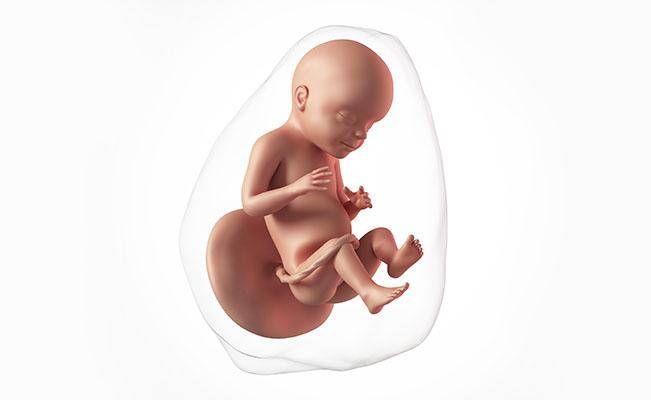 28 неделя беременности: ощущения, признаки, развитие плода