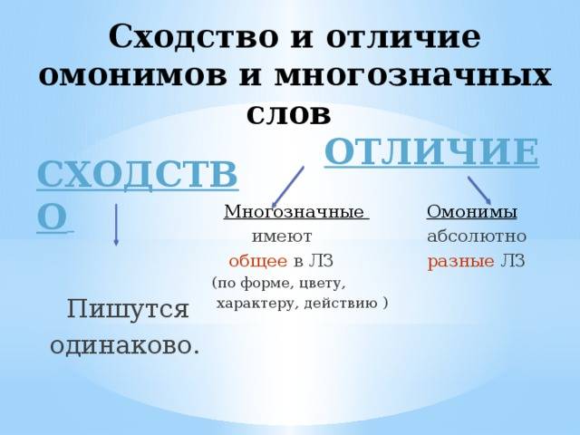Омонимы, омоформы, омографы, омофоны