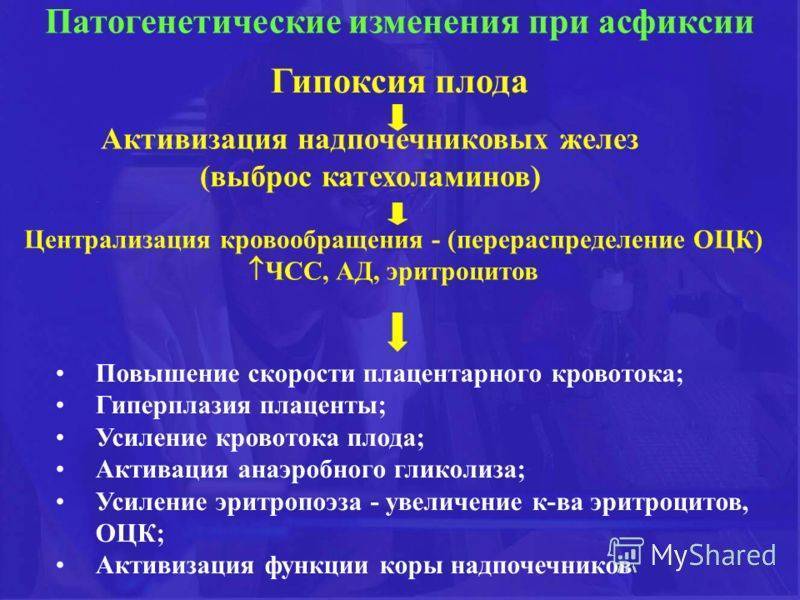 Глава 22. патология беременности