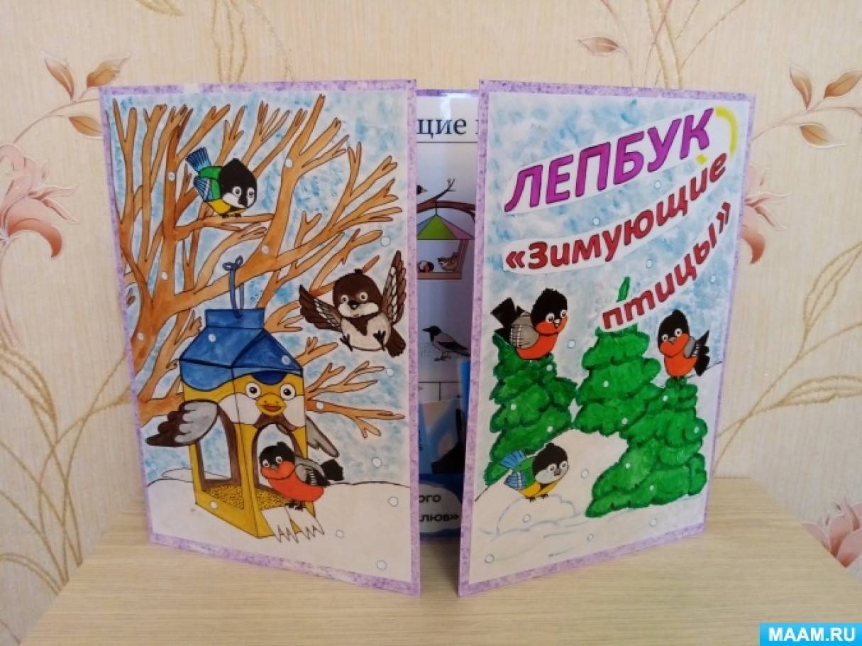 Лэпбук птицы зимующие – . , - .