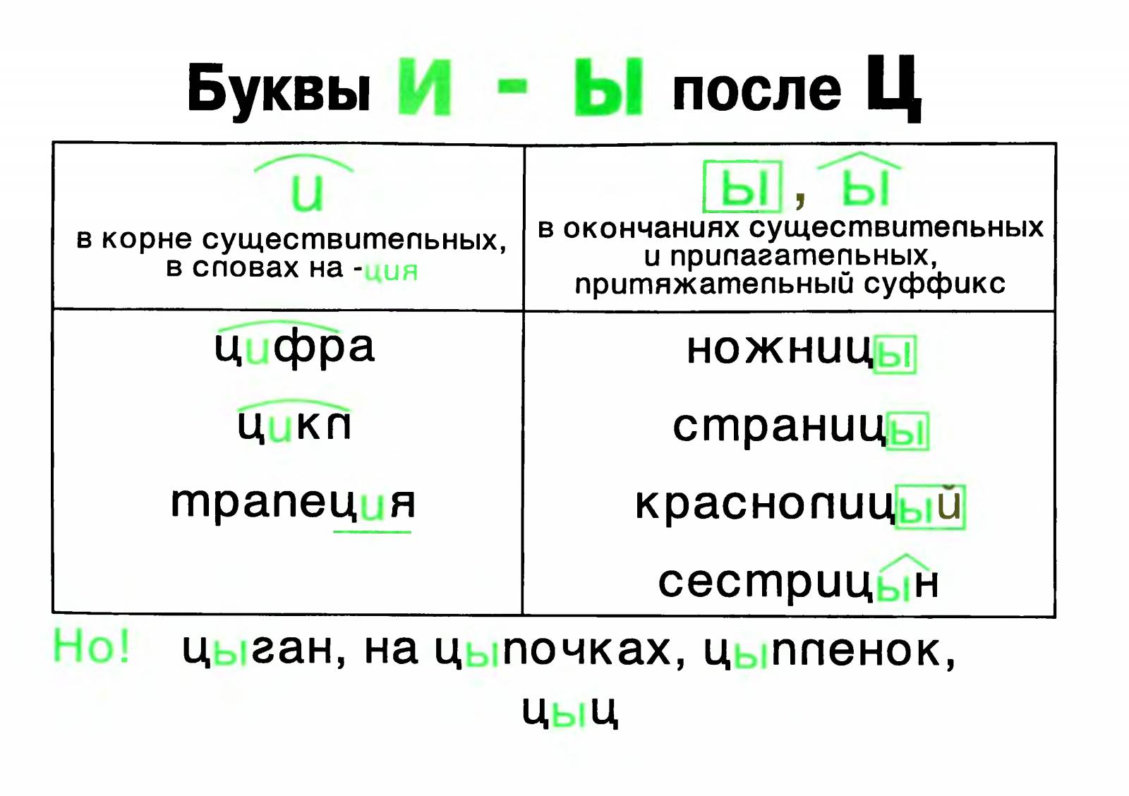 Гласные после ц исключения. Буквы ы и и после ц в корне слова. Правило правописания букв и-ы после ц. После ц в окончаниях и суффиксах пишется буква ы. Написание букв и и ы после буквы ц.