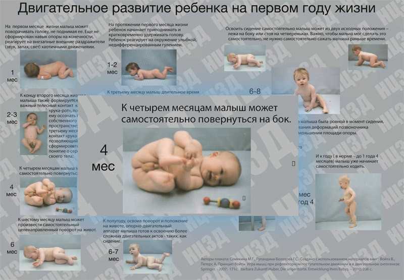 Развитие ребенка по месяцам до 1 года: важные этапы для мальчиков и девочек